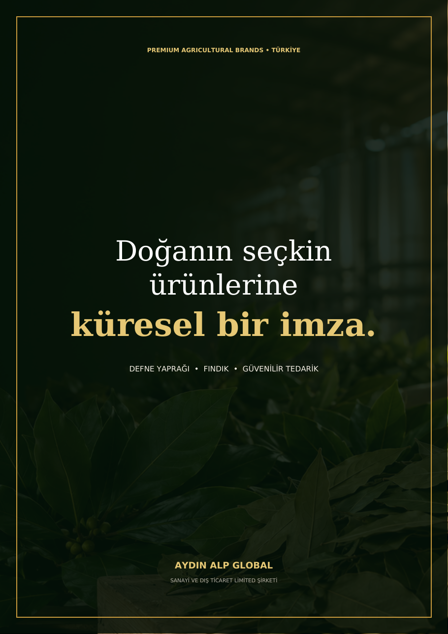 Aydın Alp Global ihracat kataloğu, sayfa 1