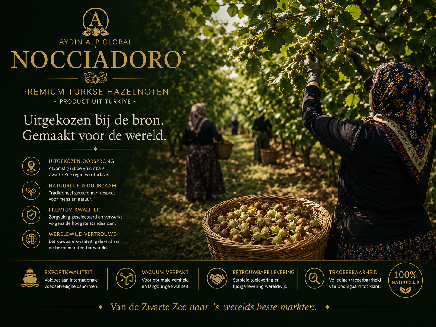 NOCCIADORO premium Turkse hazelnoten uit de Zwarte Zee-regio
